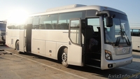 Продаём автобусы Дэу Daewoo Хундай Hyundai Киа Kia в Омске. Жезказган. - Изображение #10, Объявление #849023
