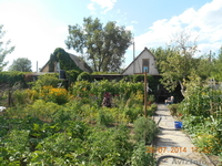 Дачный участок, сад, огород, большая баня - Изображение #3, Объявление #1152308