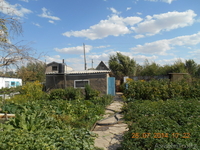 Дачный участок, сад, огород, большая баня - Изображение #4, Объявление #1152308