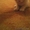 Продам шатландских вислоухих котят  - Изображение #4, Объявление #1578620