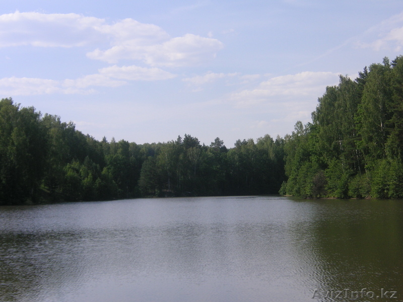 домик в деревне.Россия ульяновская облась - Изображение #3, Объявление #46405