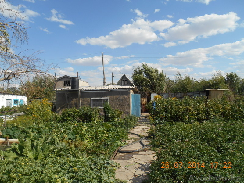 Дачный участок, сад, огород, большая баня - Изображение #4, Объявление #1152308